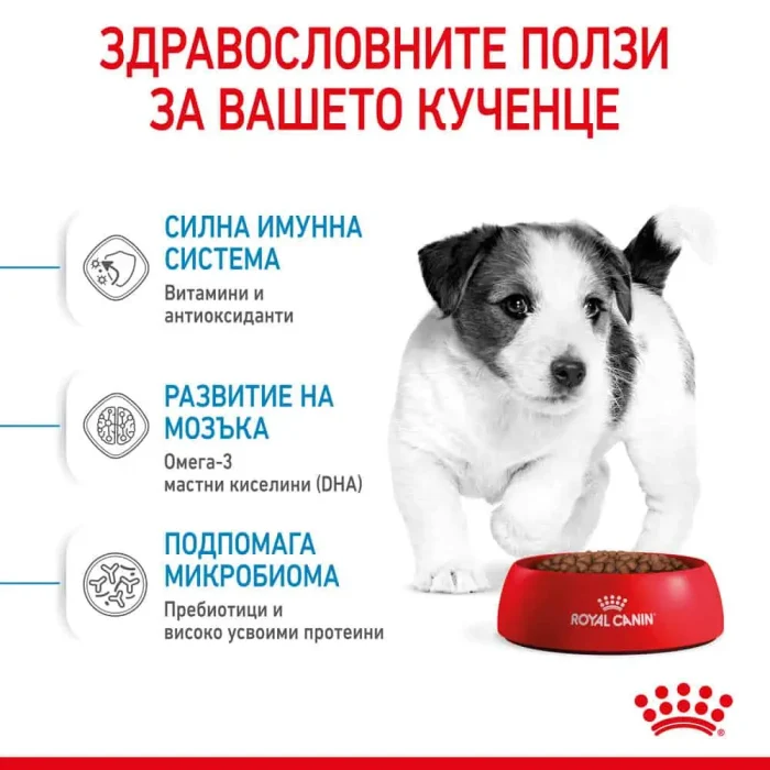 Royal Canine SPT DRY Mini Puppy 5